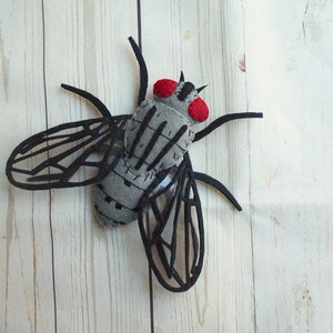 Realistic felted bugs Realistic house fly Felted fly Felt house fly Learn bugs and beetles Entomogist gift Kids learn nature