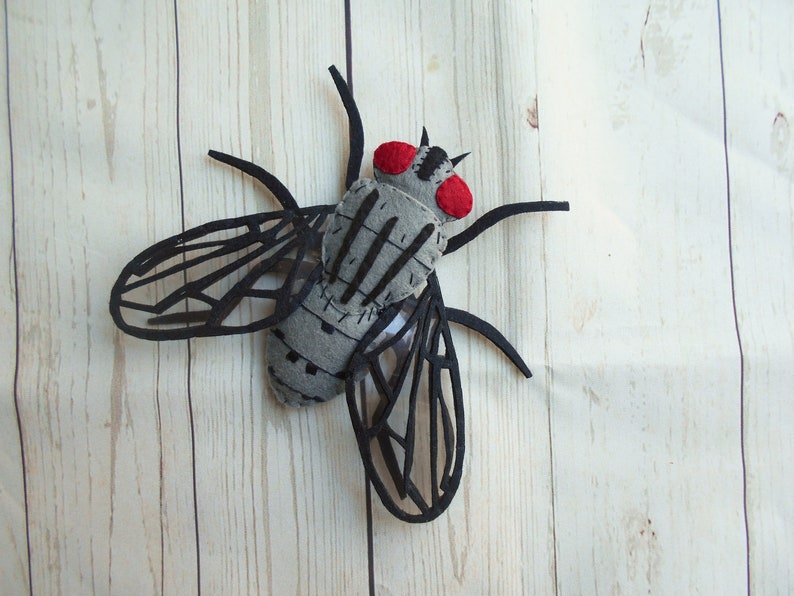Felt Fly Realistic Felted Bugs Realistic House Fly Felted Fly Felt House Fly ...