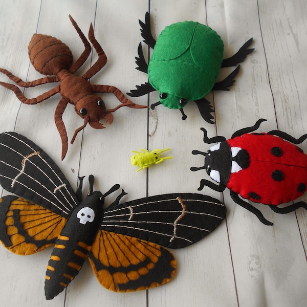 Bugs collection from felt, Realistic beetle toys, Learn nature felted toys, Young naturalist birthday gift, Felt beetles and bugs