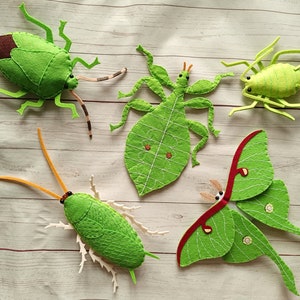 Puede incluir: Cinco juguetes de insectos de fieltro en verde y rojo. Los insectos incluyen una chinche apestosa, un insecto palo, una polilla, una cucaracha y una araña.