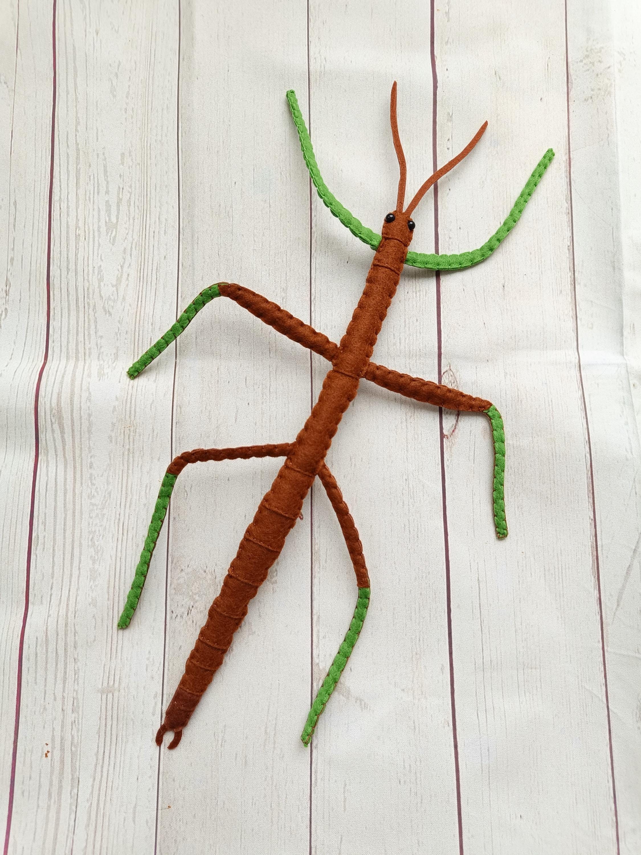 Realistic GIANT Stick Insect From Felt Brown Stick Insect Northern