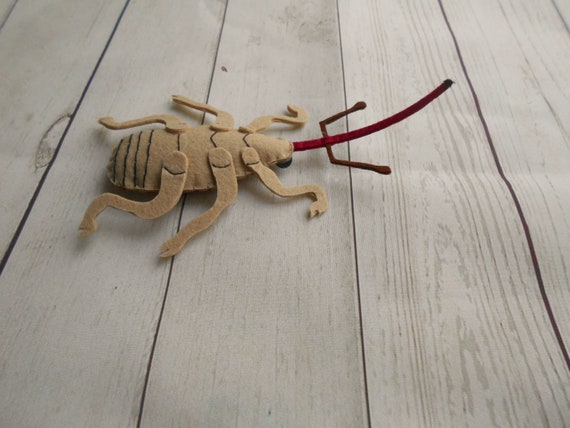 Felt Weevil Realistic Toy Felted Weevil Young Naturalist Gift