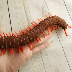 Realistic millipede from felt for young naturalist Felted millipede figurine Felt bug toy Felted realistic bugs Kids learning