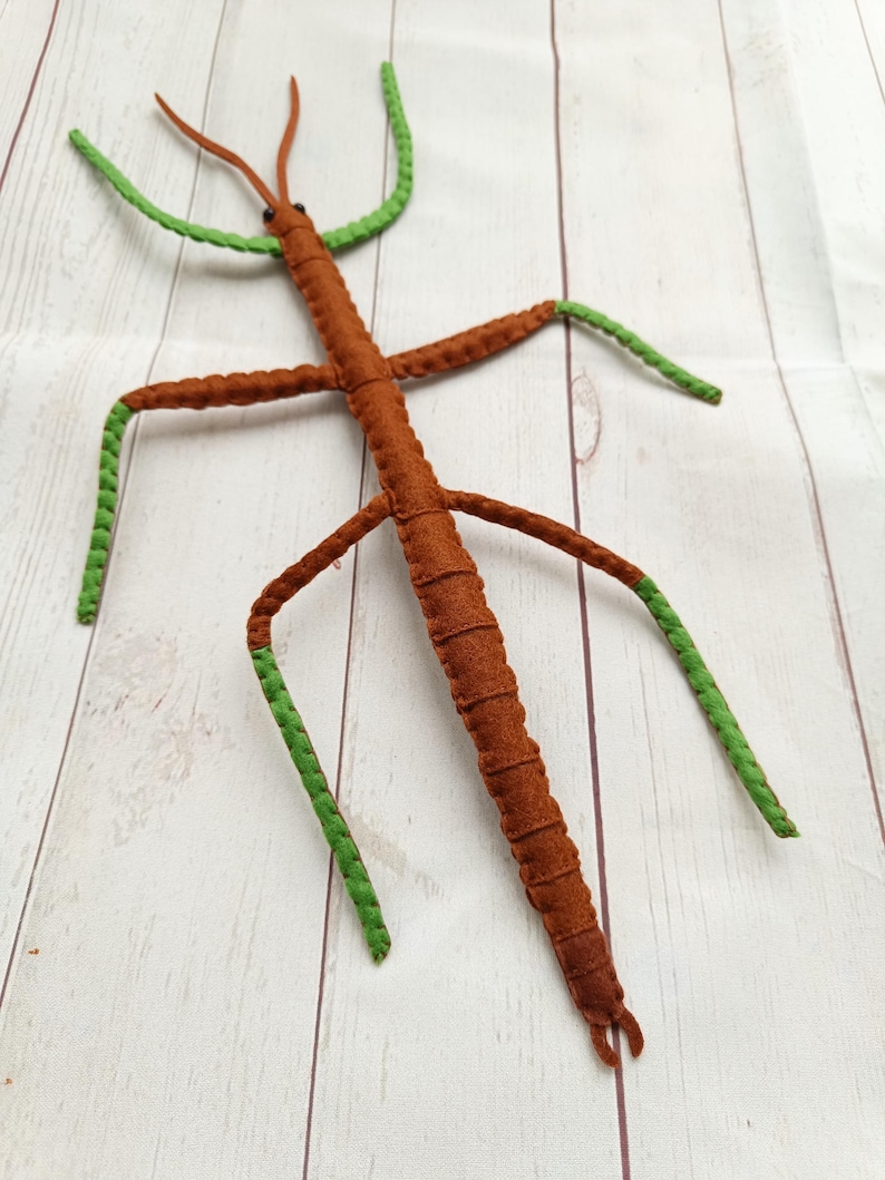 Realistic GIANT Stick Insect From Felt Brown Stick Insect Northern ...