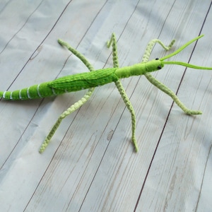 Realistic GIANT Stick Insect From Felt Green Goliath Stick Insect ...