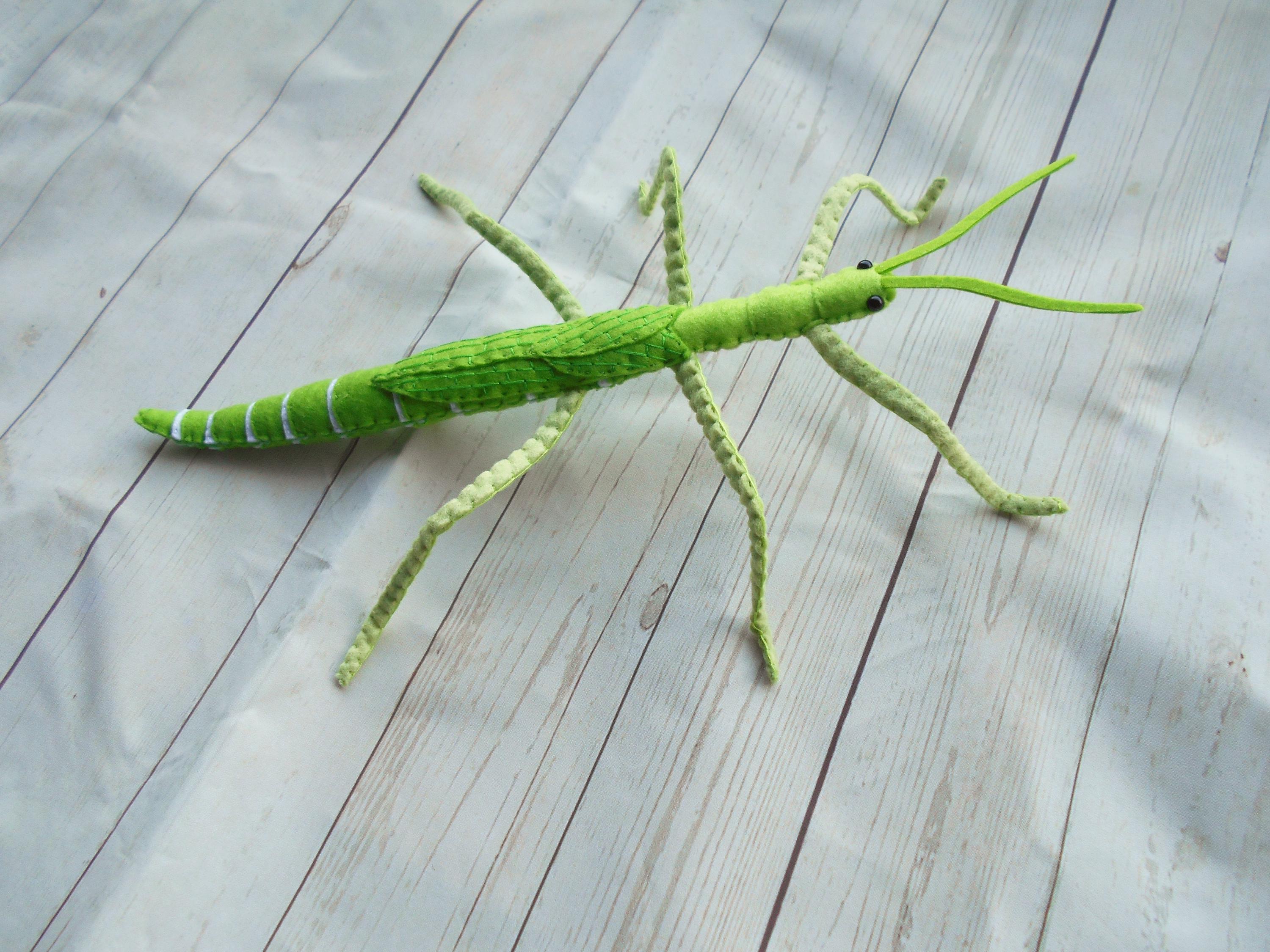 Realistic GIANT Stick Insect From Felt Green Goliath Stick Insect