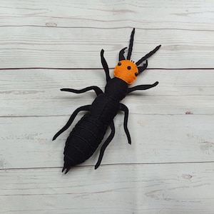 Realistic Devils coach horse beetle Black beetle from felt orange head Black felted bug Entomologist gift Insects learning Rove beetle