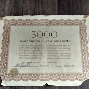 Ephemera Vintage 3000 Year guarantee GOES 460 project hope WBBF News team Hoot for Hope Rochester NY signed certificate paper