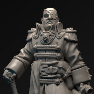 Altrivrun skyfleet officer imperial guard