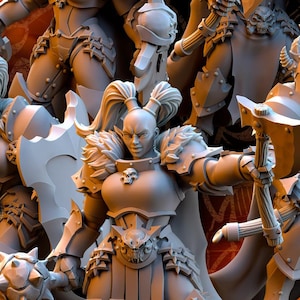 Realms of Mayhem - Warrior Maidens - Beholder Miniatures