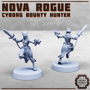 Nova Rogue - Print Minis
