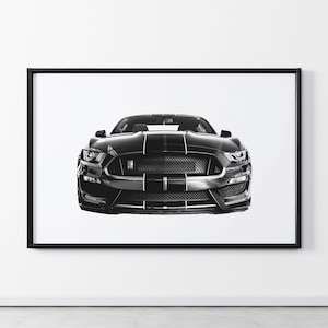 Legendary Mustang GT350 – Bold Muscle Car Portrait with Minimalist Style