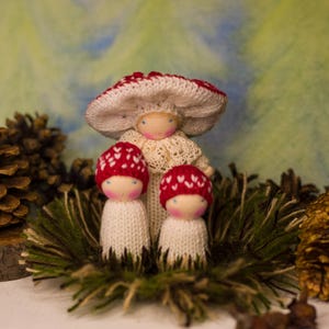 May include: Three knitted mushroom dolls, one with a larger red and white mushroom hat, and two smaller dolls with red and white knit hats. The dolls are sitting in a bed of green moss.