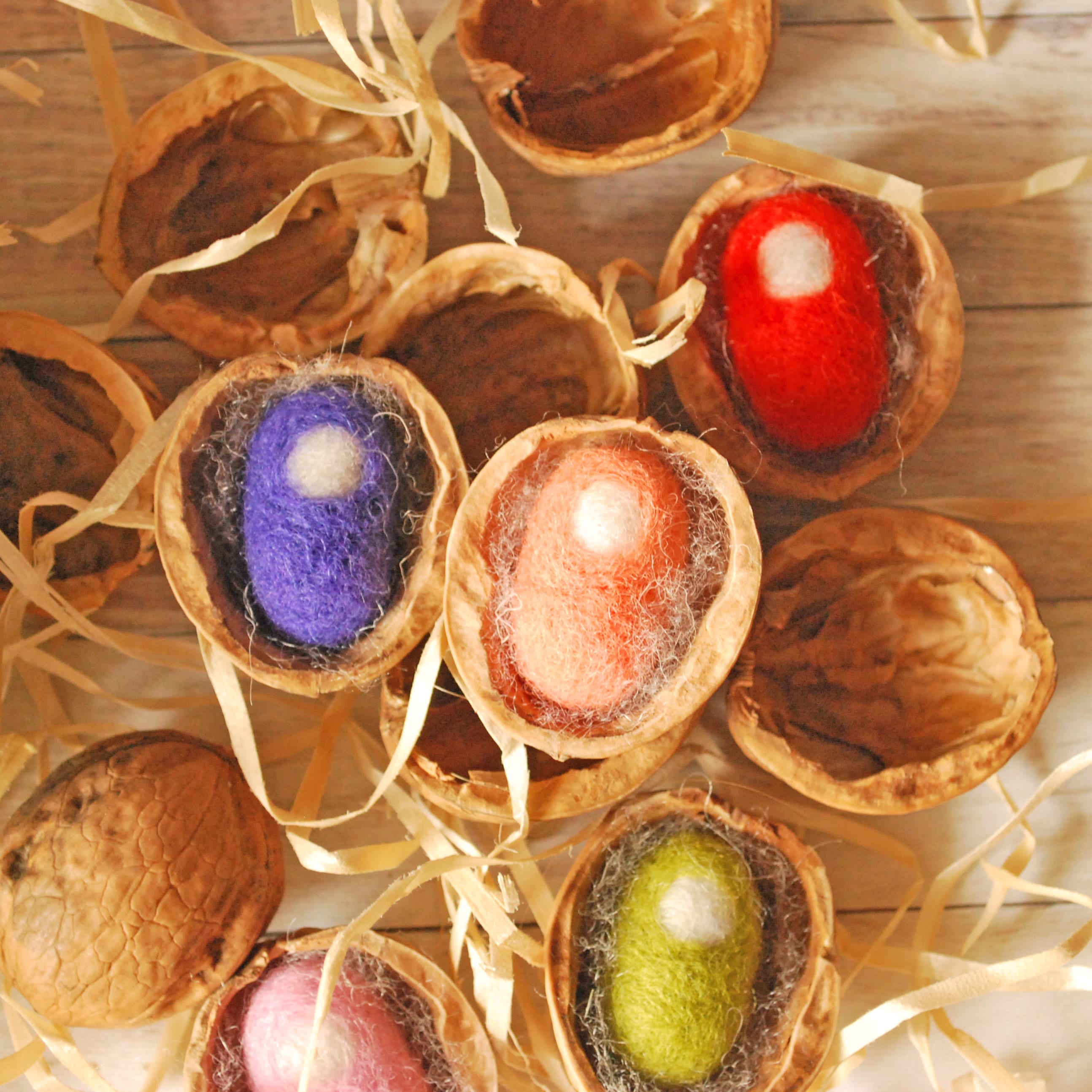 Walnut shell halves Walnut Slices Crafts Supplies Walnut Etsy