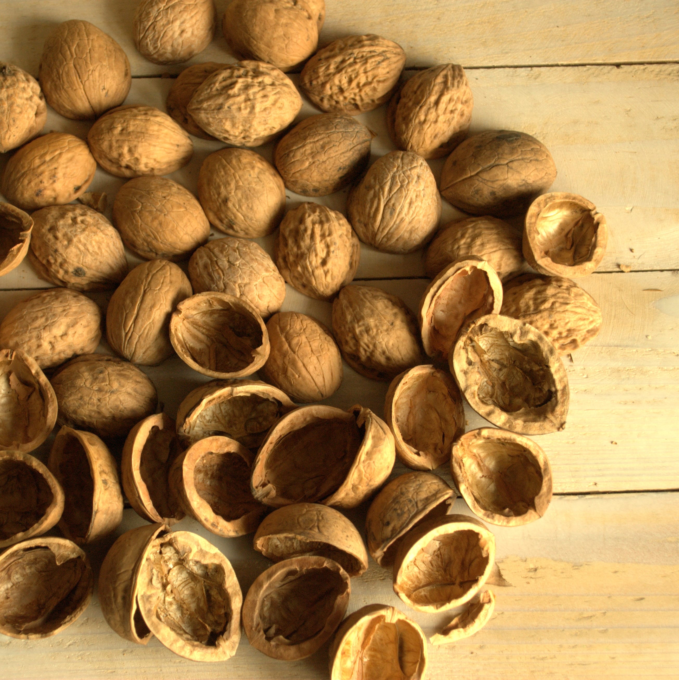 Walnut Shell Halves Walnut Slices Crafts Supplies Walnut Halves Creativity  Natural Walnut Walnut Halves Nut Shells Walnut Decor Walnut Craft - Etsy