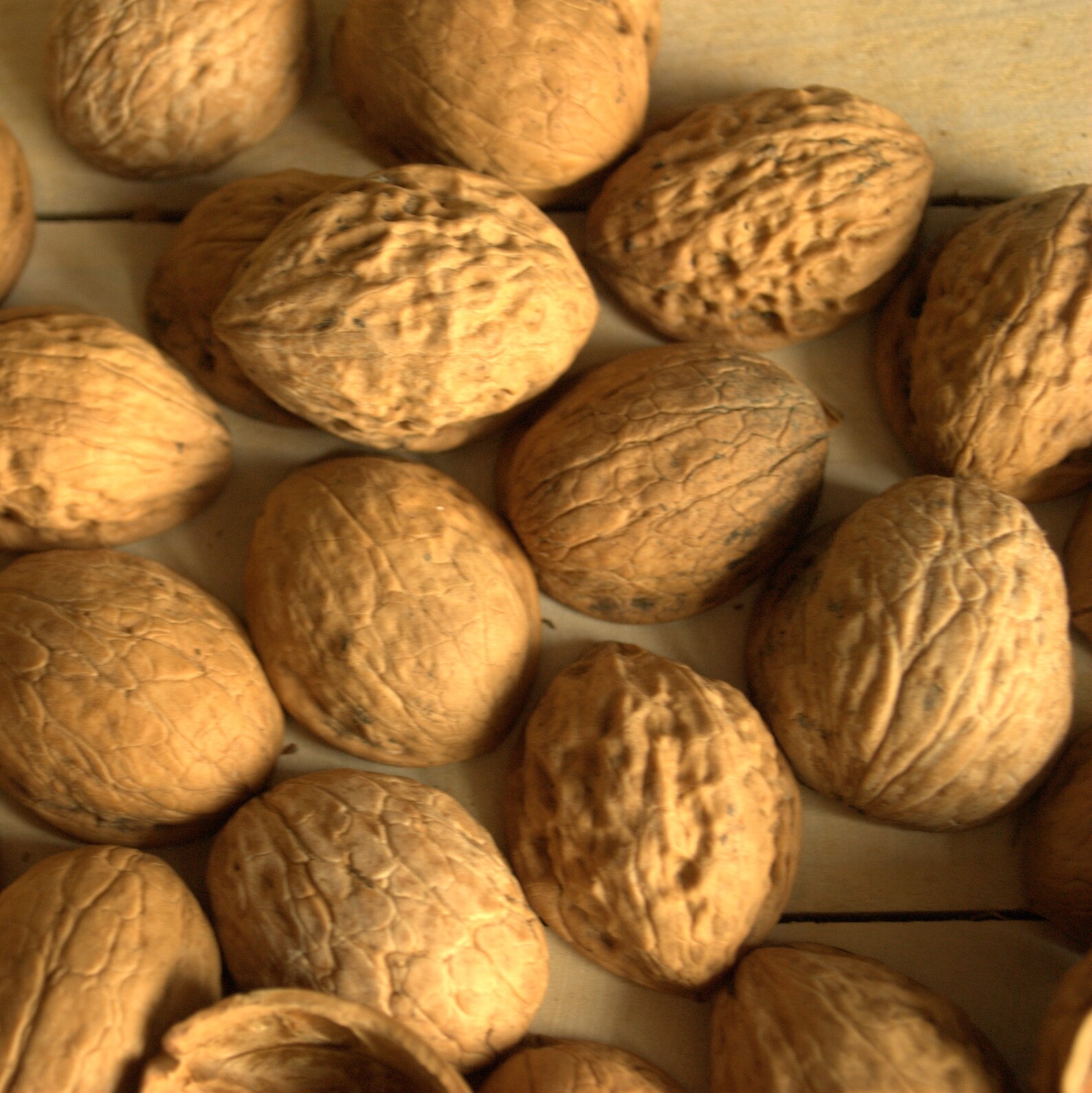 Walnut Shell Halves Walnut Slices Crafts Supplies Walnut Halves