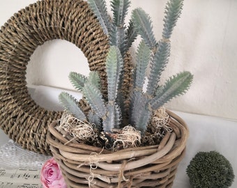 Kaktus im Weidenkorb künstlich Topfplanze Kunstblume KakteenTischdeko Wohndeko zeitlos
