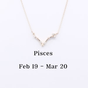 PISCES / Zodiac Sign Necklace / Constellation Pendant Necklace / Diamond Necklace for Women / 14k Solid gold Dainty Necklace / Sign Necklace
