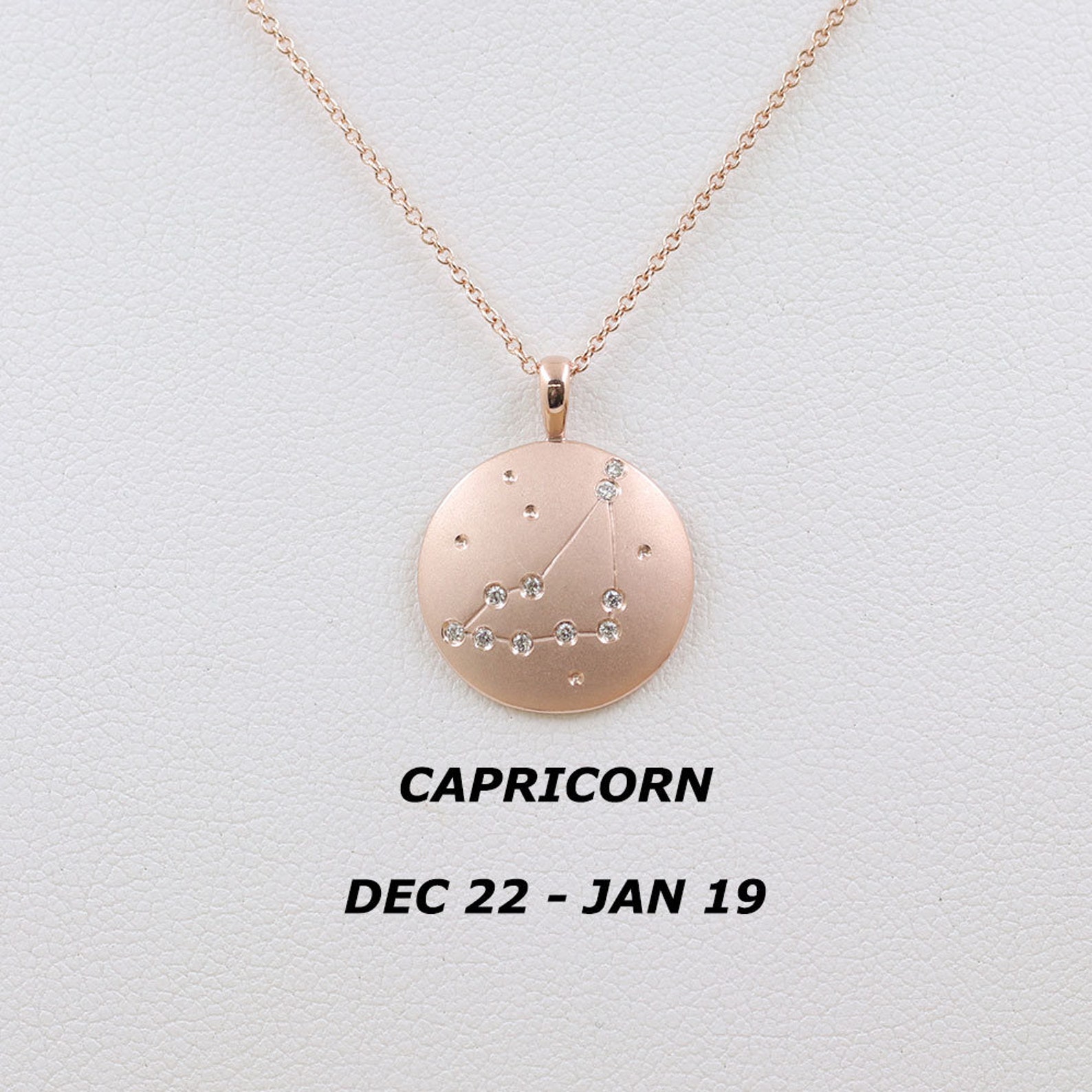 The Zodiac Necklace - Capricorn