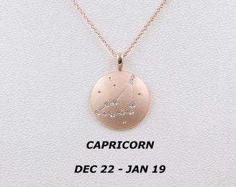 CAPRICORN / Zodiac Sign Necklace / Diamond Necklace / 14k Solid Gold Necklace / Birth Signs Necklace /  Zodiac Necklace / Horoscope Necklace