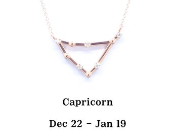 Capricorn Diamond Necklace: 14k Gold Zodiac Sign Pendant