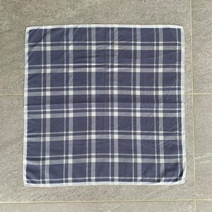 May include: A blue and white checkered handkerchief with a white border.