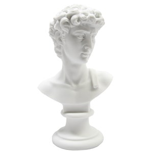 6.5" Michelangelo's Bust of David Head Statue Sculpture Greek Roman Art Home Decoration Vittoria Collection Made in Italy