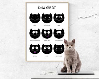 gifts for cat lovers