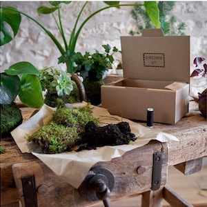KOKEDAMA KIT