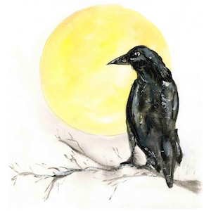 Moon Raven