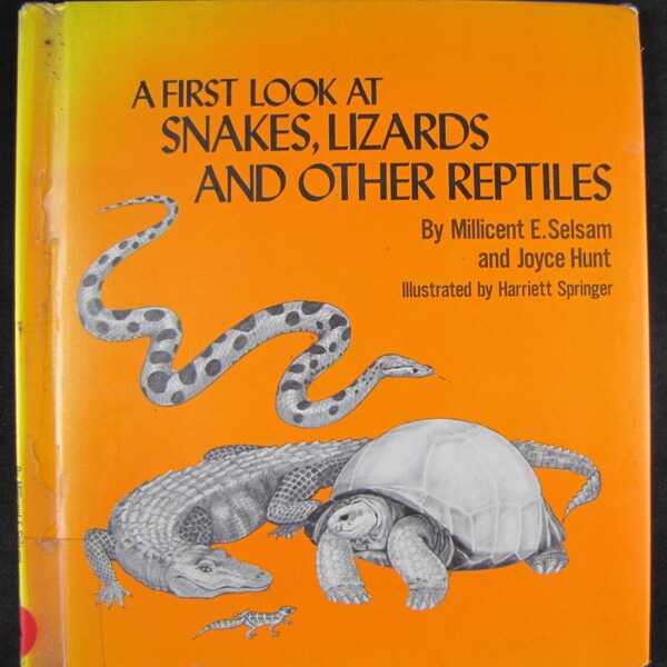 A First Look at Snakes, Lizards, and Other Reptiles // 1975 Hardback w Jacket // Scarce Copy // Millicent Selsam // Science Easy Reader