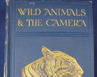 Wild Animals & The Camera // 1910 Hardback, possible 1st // Characteristics of wild animals thru camera // Photos, zoology, mammals, birds..