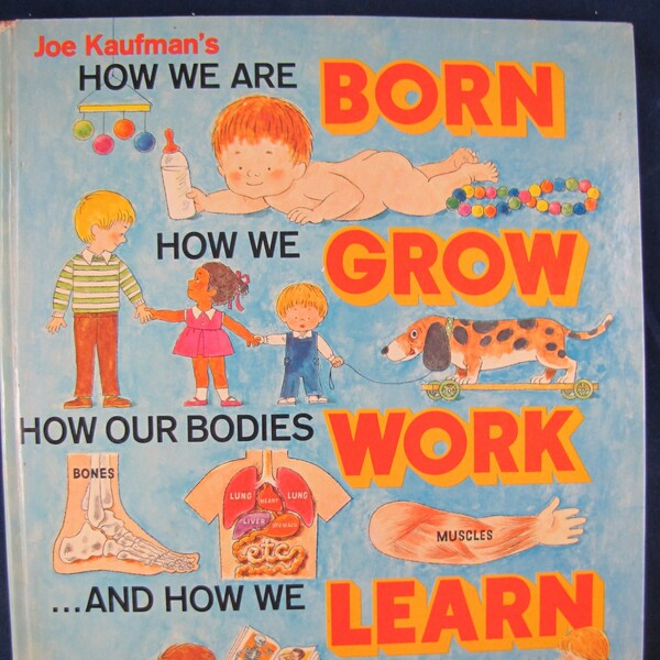 Joe Kaufman's How We are Born // 1975 Hardback //How We Grow, How Our Bodies Work, and How We Learn // science picture, health read-aloud