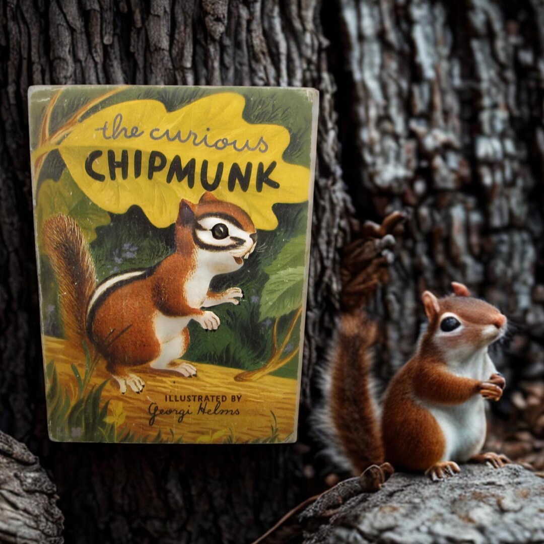 The Curious Chipmunk // 1946 Hardback // Children's Picture Animal ...