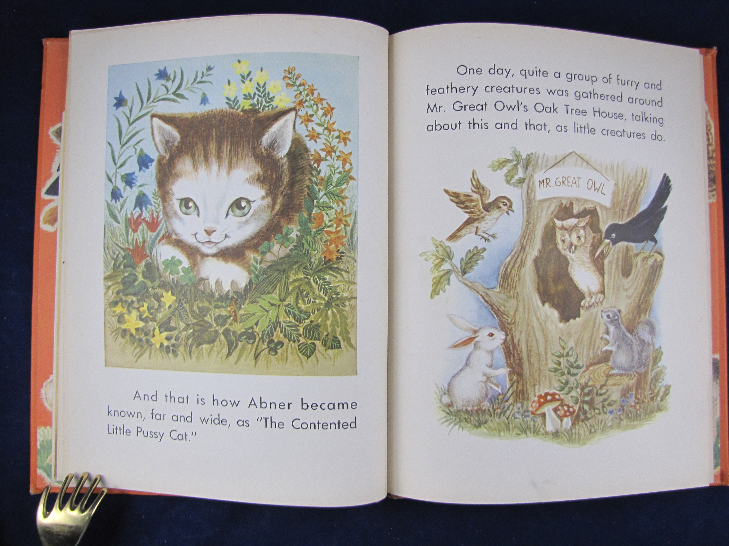 The Contented Little Pussy Cat // 1949 Hardback // Picture photo