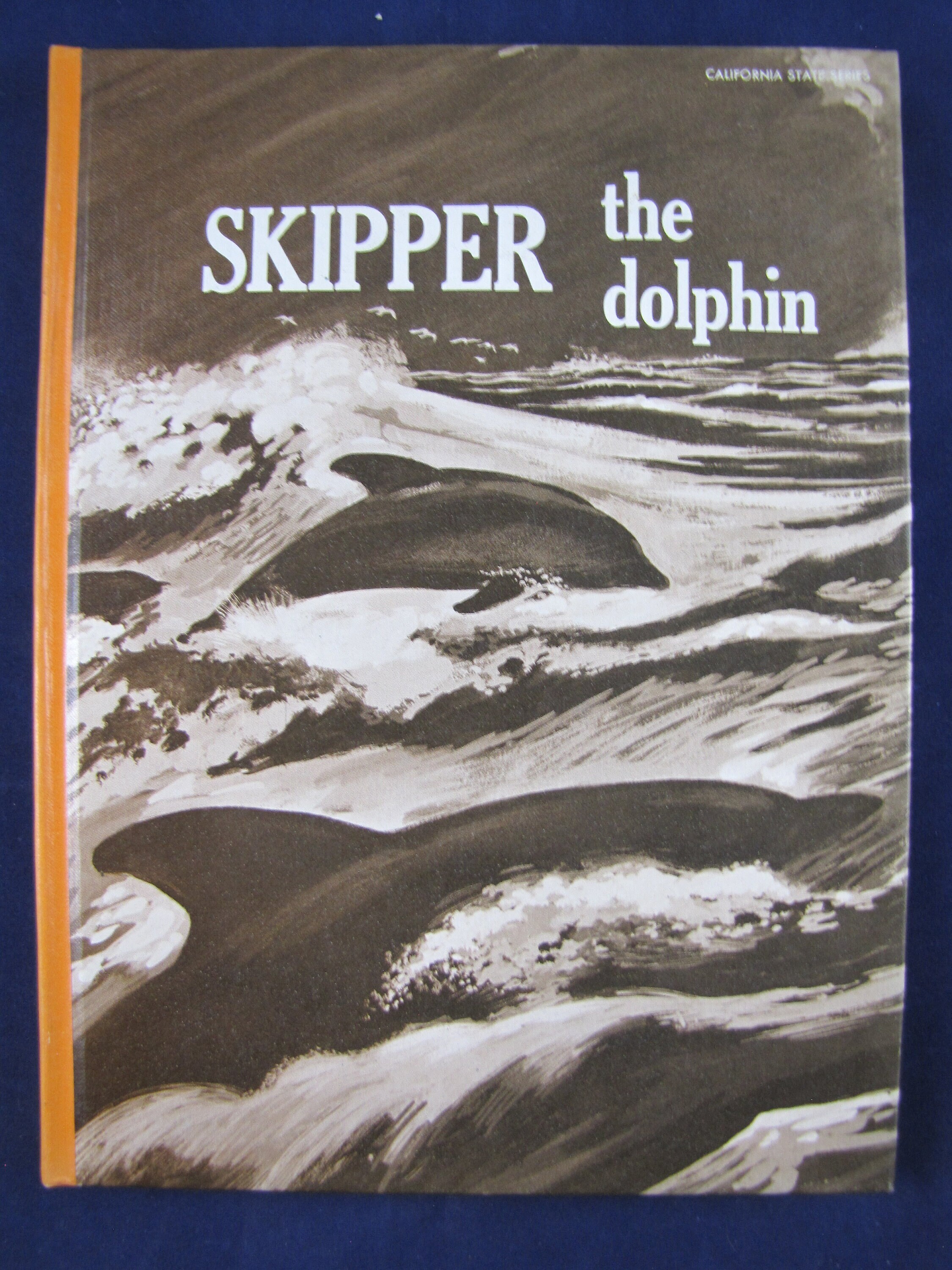 語学・辞書・学習参考書 Dolphin Readers Pack 40 Titles 語学・辞書・学習参考書 Dolphin Readers Pack 40 Titles
