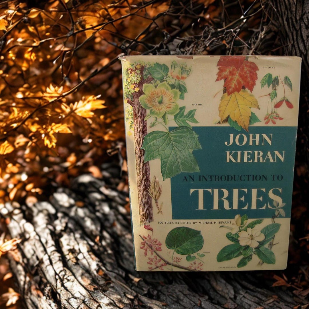 An Introduction to Trees // 1954 Hardback W Jacket1st Ed // John Kieran ...