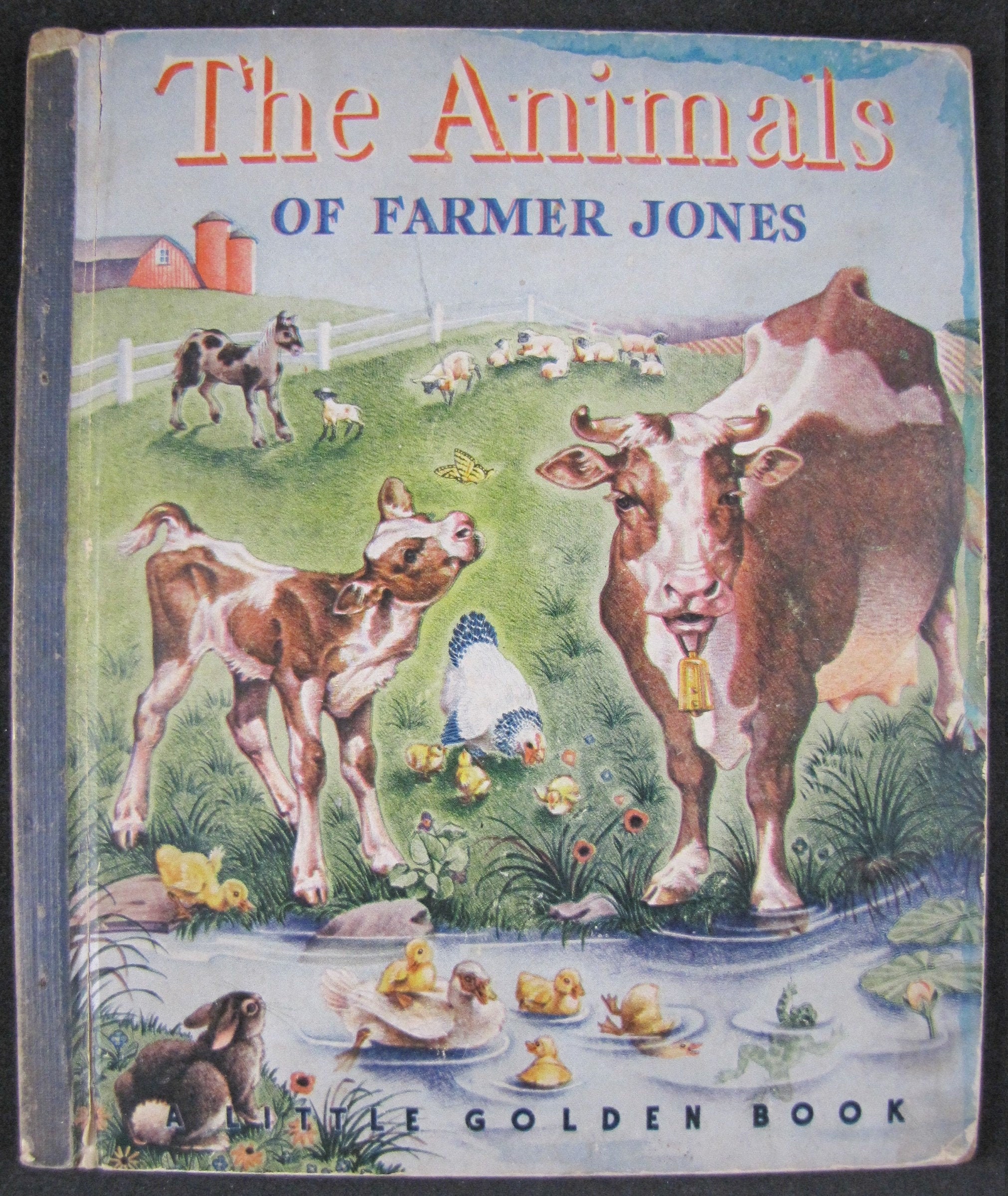 Farmer Jones Animal Farm