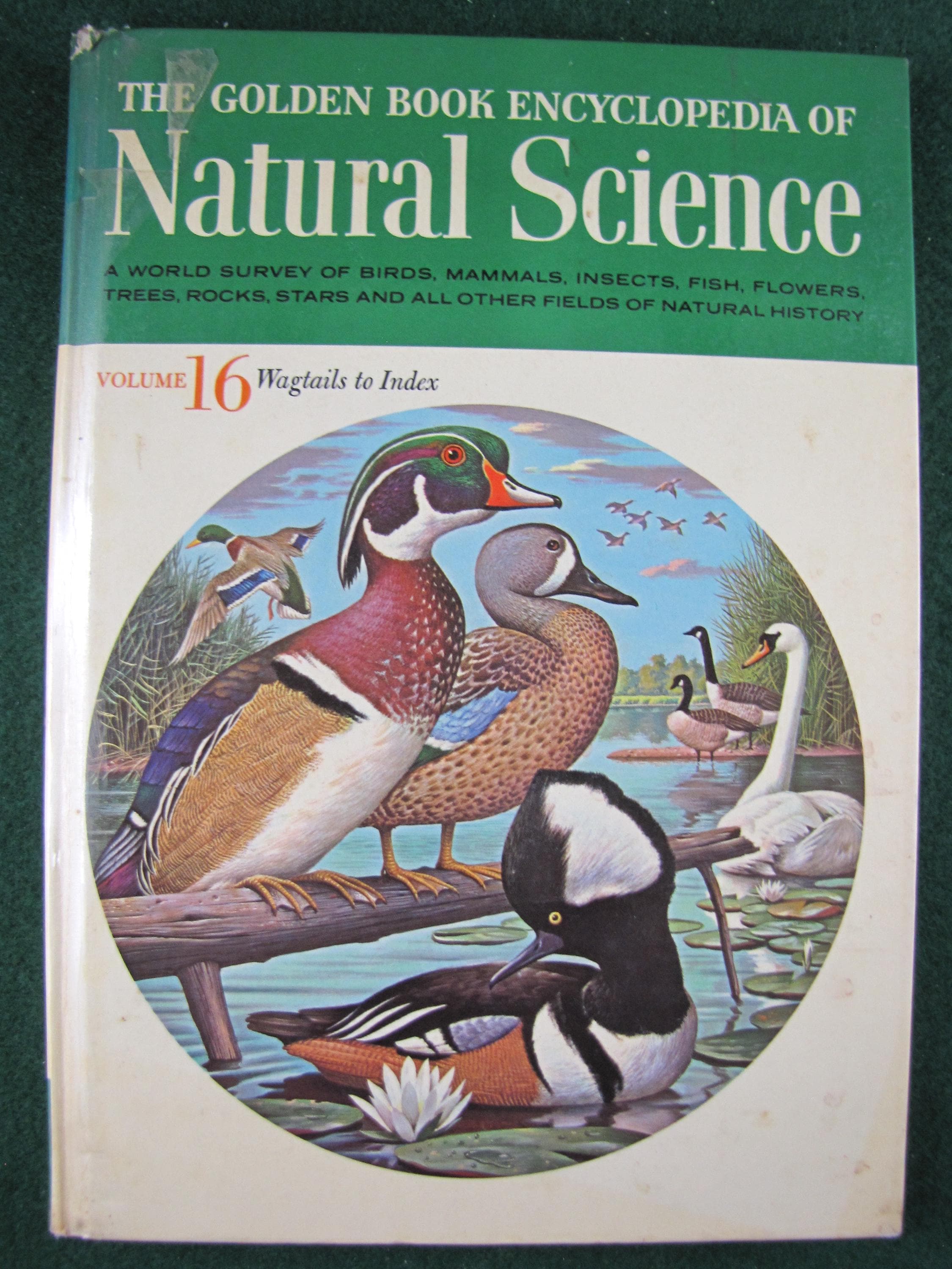 The Golden Book Encyclopedia Of Natural Science Volume 4: PH