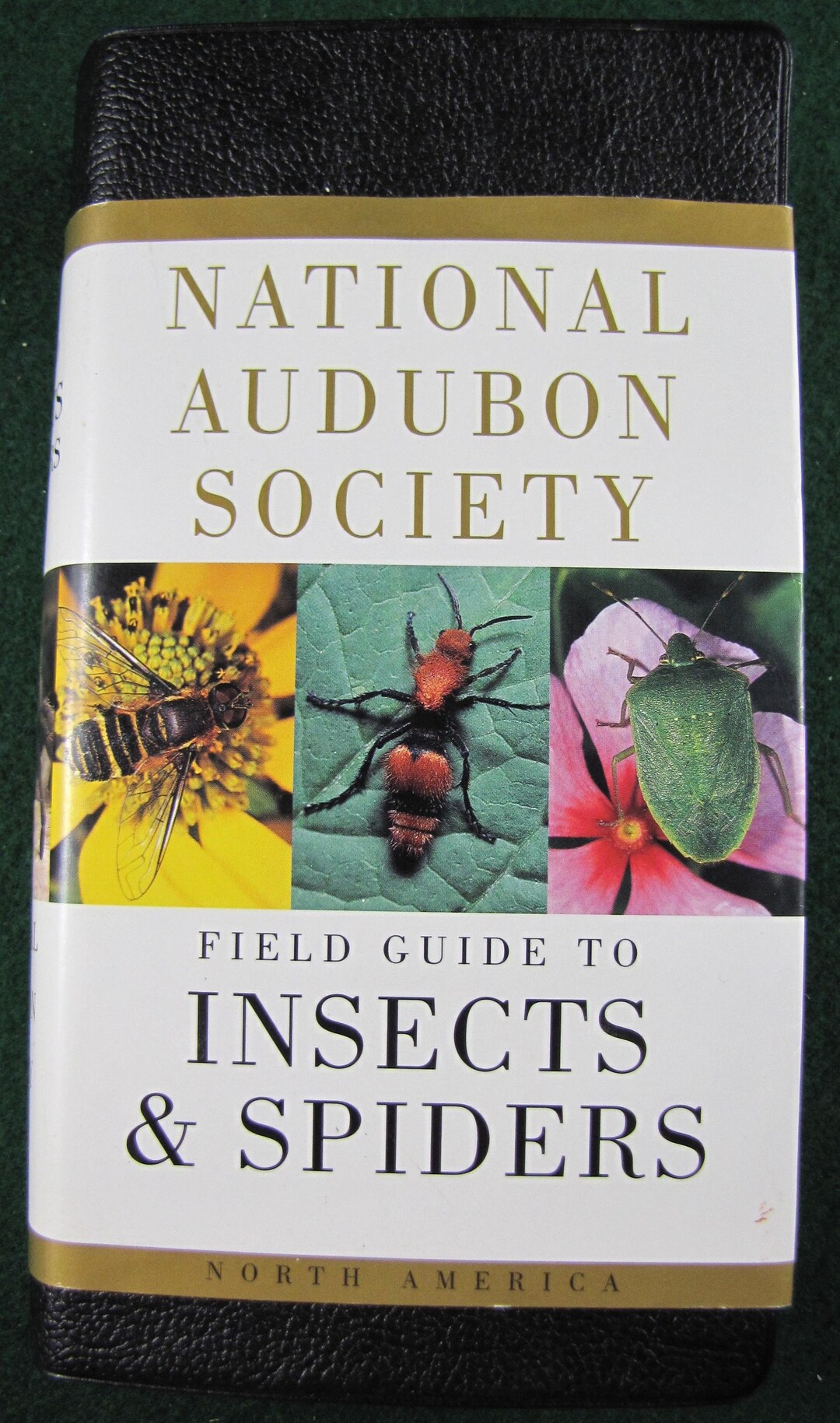 Field Guide to North American Insects and Spiders // 2000 Like New ...
