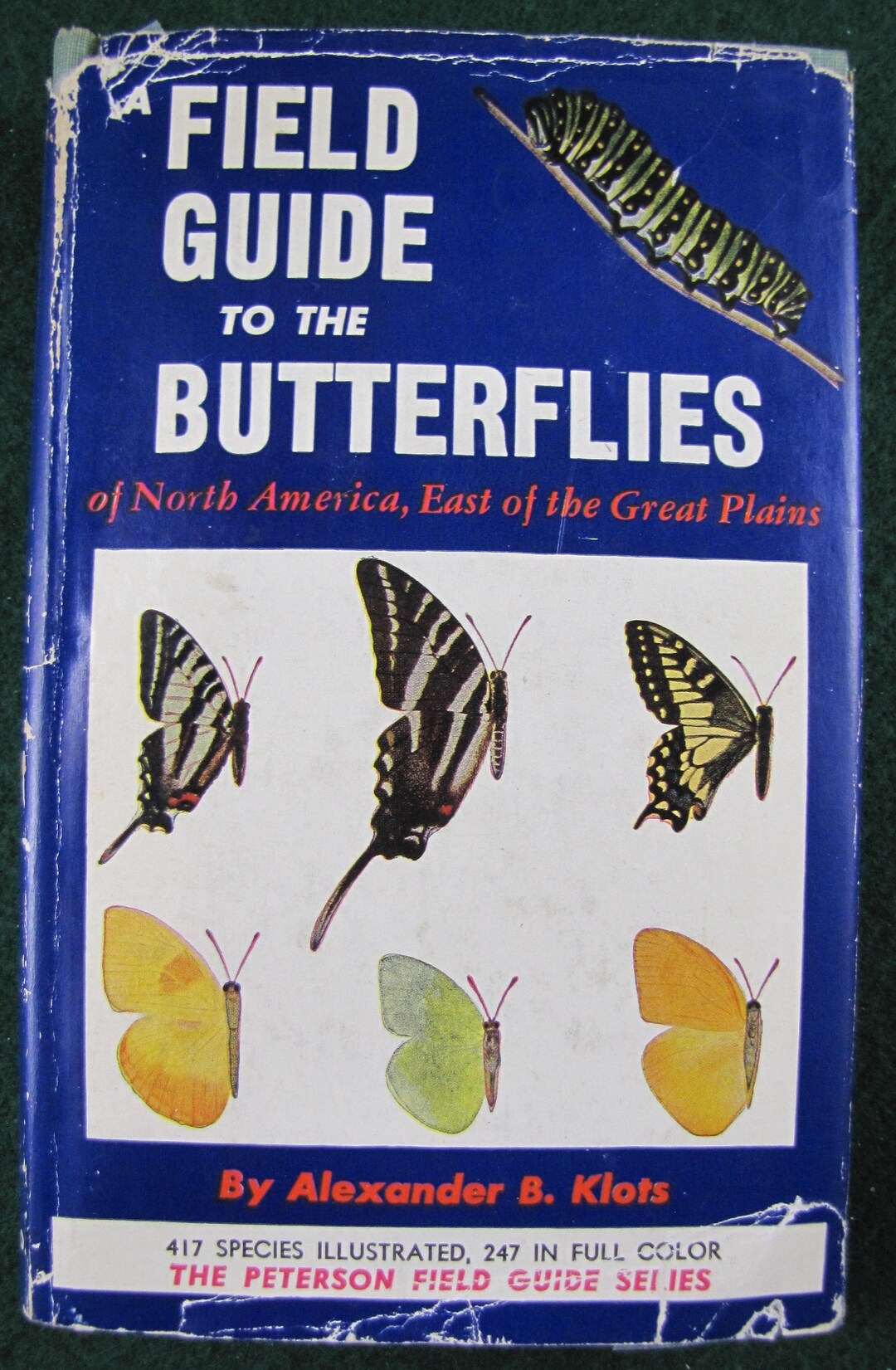 Peterson Guide to Insects of America North of Mexico