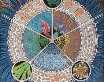 May include: A colorful circular mandala-like design with six sections, each featuring a different pattern and color. The center of the design is a white circle with a black outline. The outer edge of the design is a blue circle with a white outline. The design is surrounded by a blue background with white and orange lines.