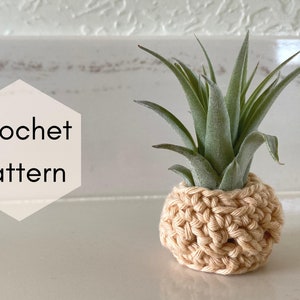 CROCHET PATTERN, Sonora Air Plant Cozy, boho style, plant love, cotton yarn image 1