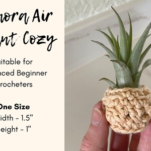 CROCHET PATTERN, Sonora Air Plant Cozy, boho style, plant love, cotton yarn image 4