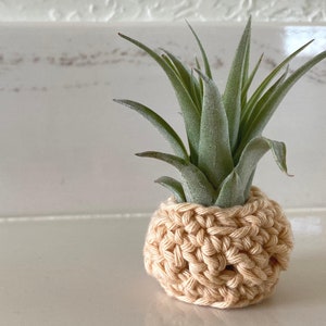 CROCHET PATTERN, Sonora Air Plant Cozy, boho style, plant love, cotton yarn image 2