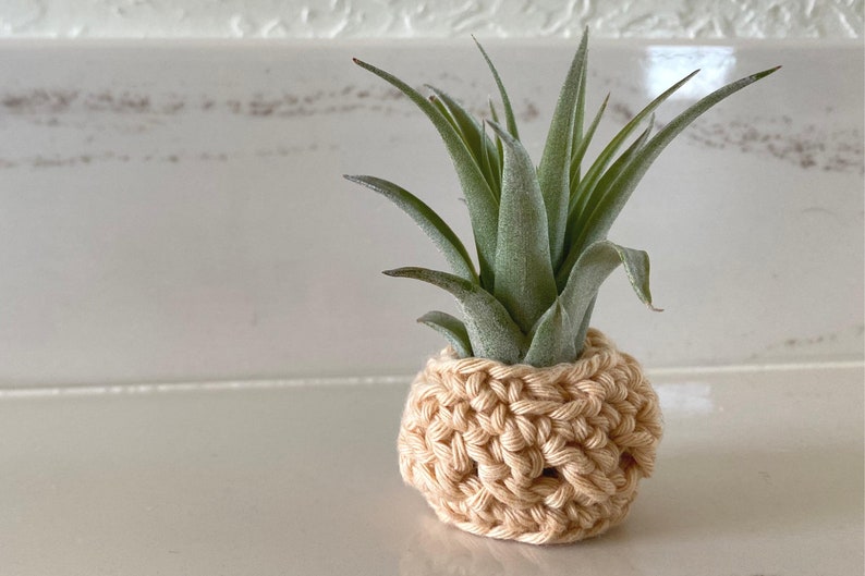 CROCHET PATTERN, Sonora Air Plant Cozy, boho style, plant love, cotton yarn image 2