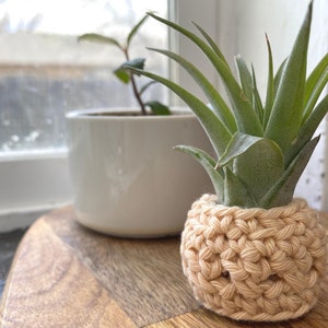 CROCHET PATTERN, Sonora Air Plant Cozy, boho style, plant love, cotton yarn image 7