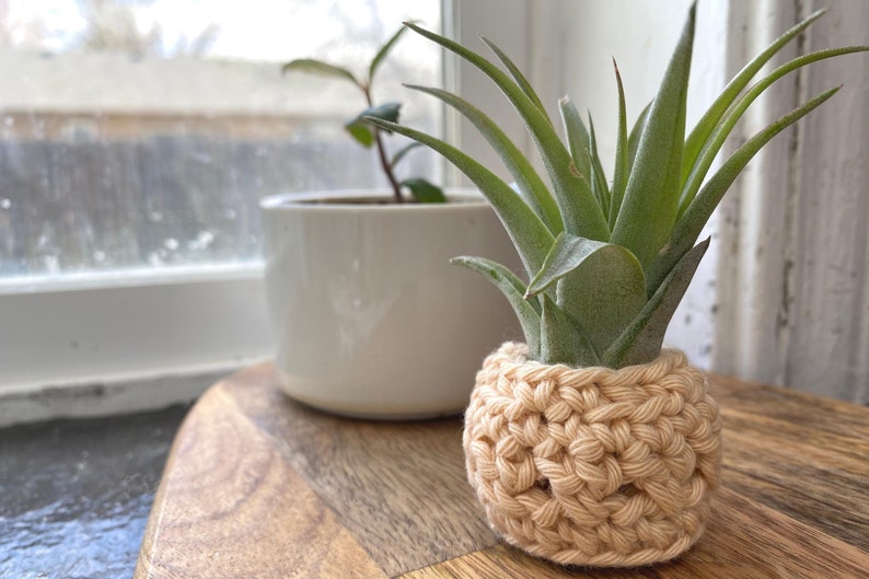 CROCHET PATTERN, Sonora Air Plant Cozy, boho style, plant love, cotton yarn image 7