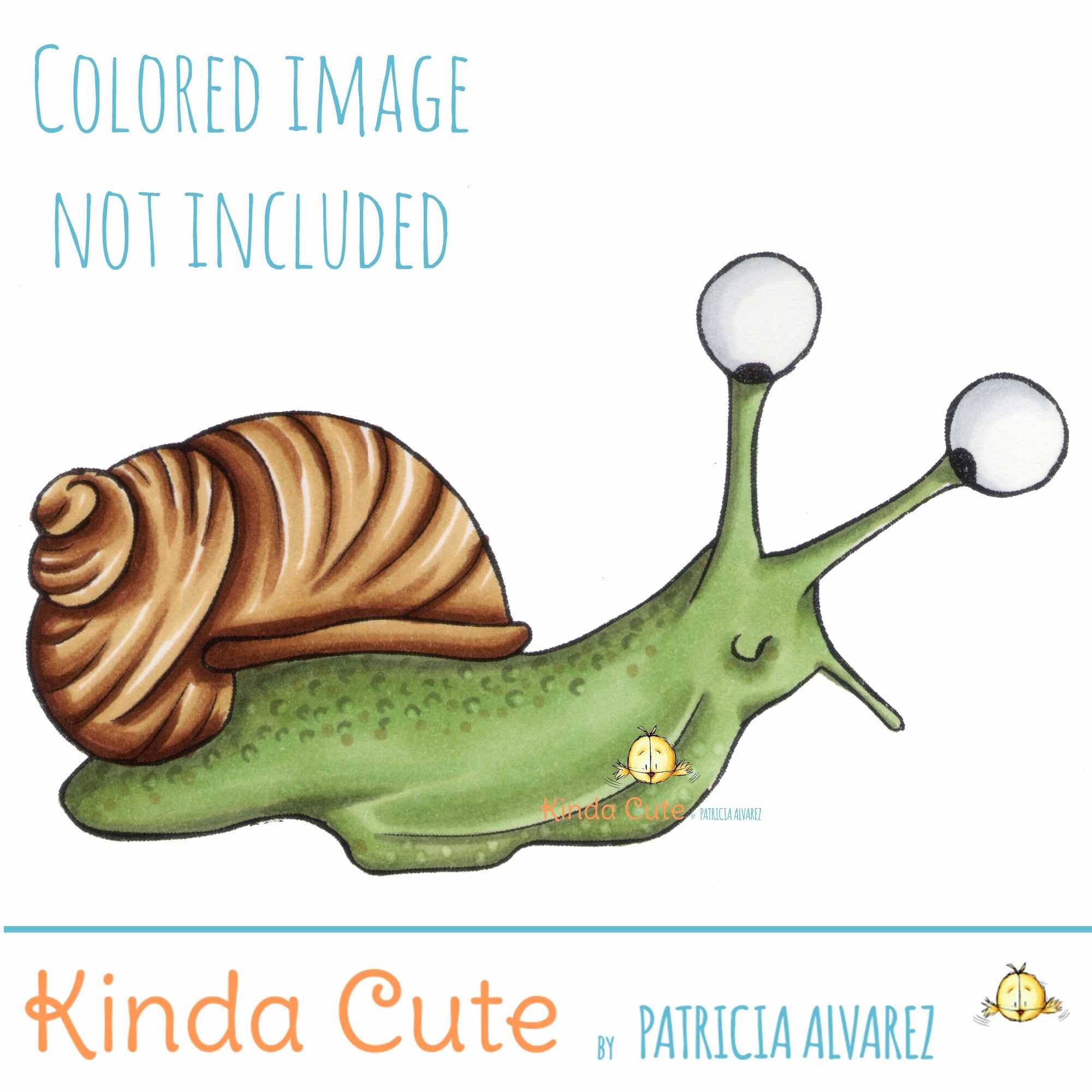 Snail Digital Stamp Animal Stamps Mollusc Snail Stamps Etsy