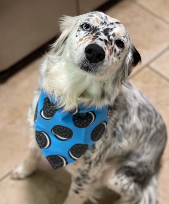 50 Pcs Adopt Me Dog Bandanas Bulk With Sayings Pet Tiangle
